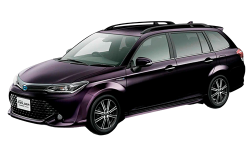 2D коврики EVA в салон и багажник на Toyota Corolla Fielder XI E160 4WD, правый руль (2012-н.в)
